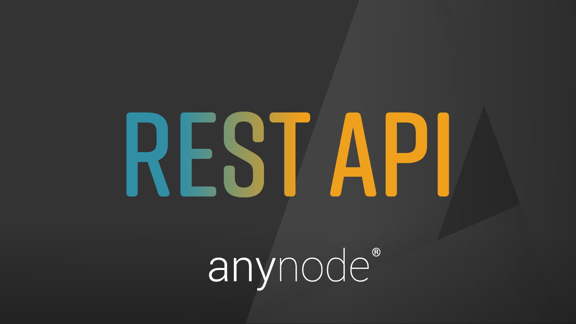 anynode REST API documentation