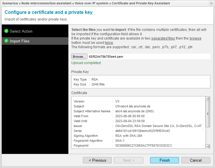 anynode-cisco-webex-calling-wizard-pbx-8-certificate-added