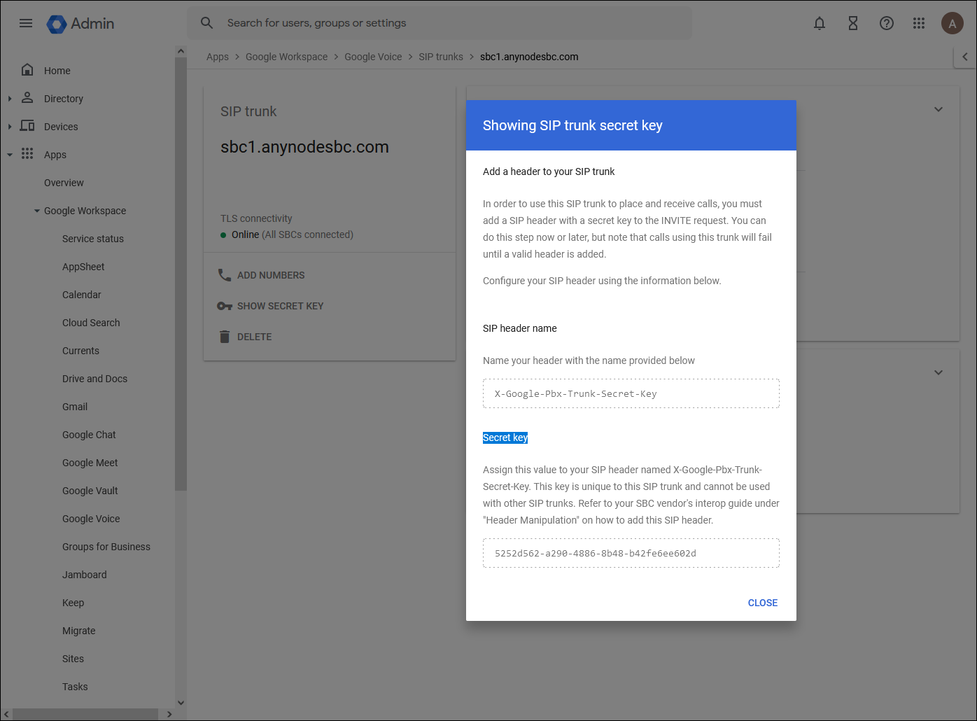 anynode-google-voice-sip-link-configuration-trunk-secret-key