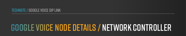 anynode-google-voice-sip-link-details-network-controller