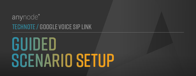 anynode-google-voice-sip-link-scenario-setup