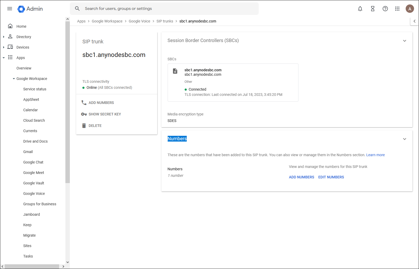 anynode-google-voice-sip-link-trunk-numbers-example-1