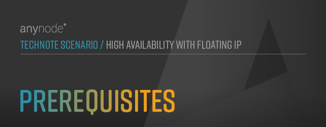 Graphic: chapter prerequisites for anynode TechNote "High Availability with Floating IP".