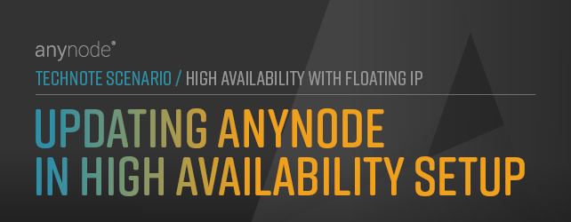 Graphic: Updating anynode in high availability setup chapter for anynode TechNote "High Availability with Floating IP".