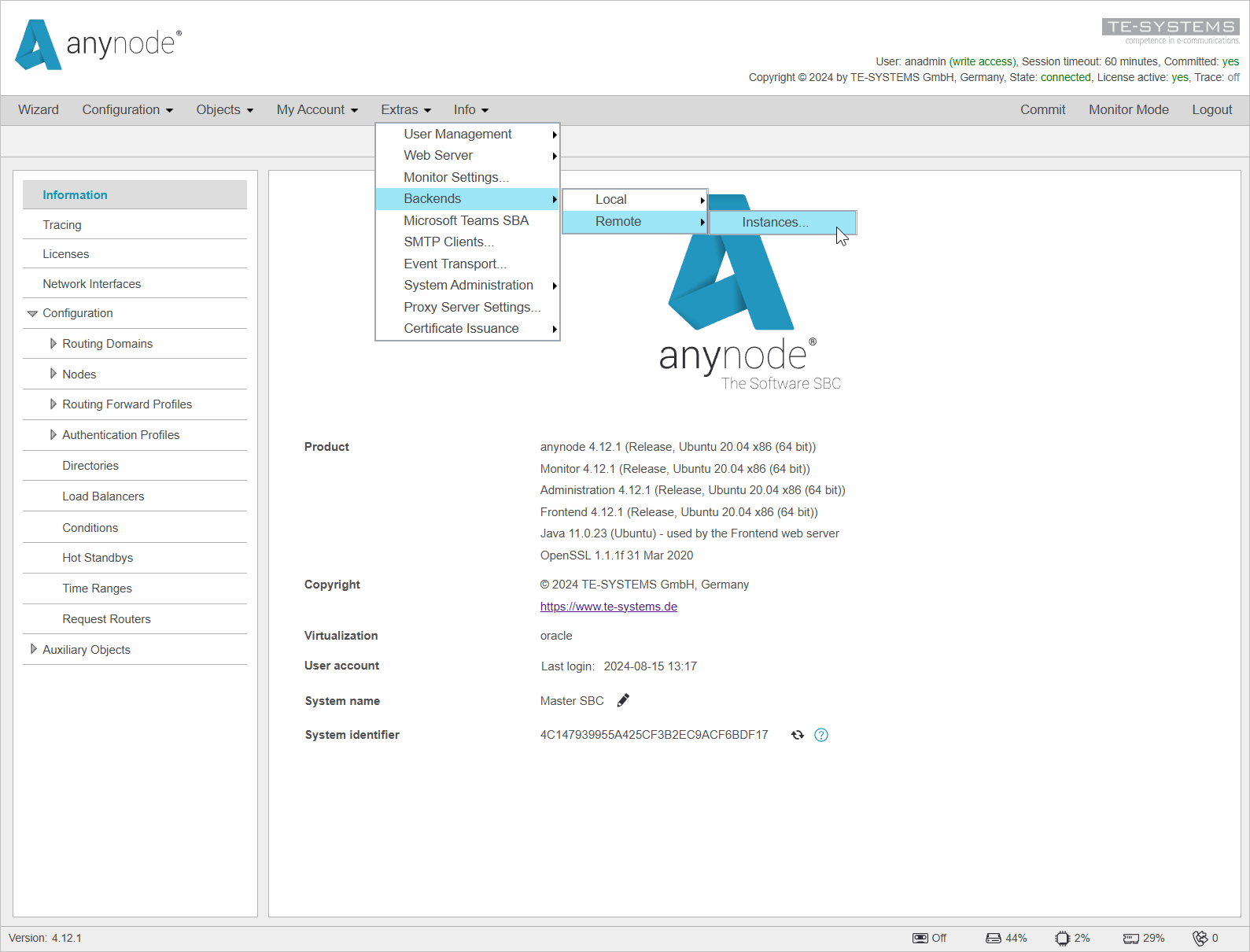 Screenshot: anynode frontend navigating through extras menu to open remote instances