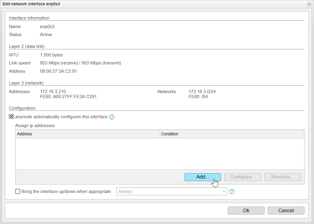 Screenshot: anynode – The Software SBC frontend with edit network interface menu and add button.