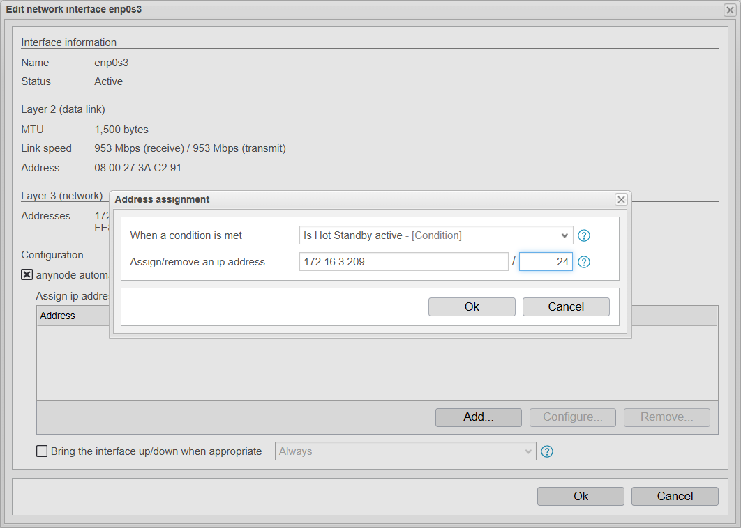 Screenshot: anynode – The Software SBC frontend with edit network interface menu and address assignment.