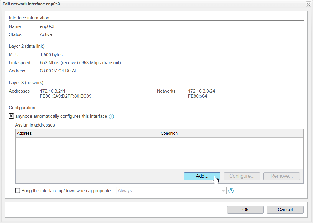 Screenshot: anynode – The Software SBC frontend with edit network interface menu and add button on the replica system.