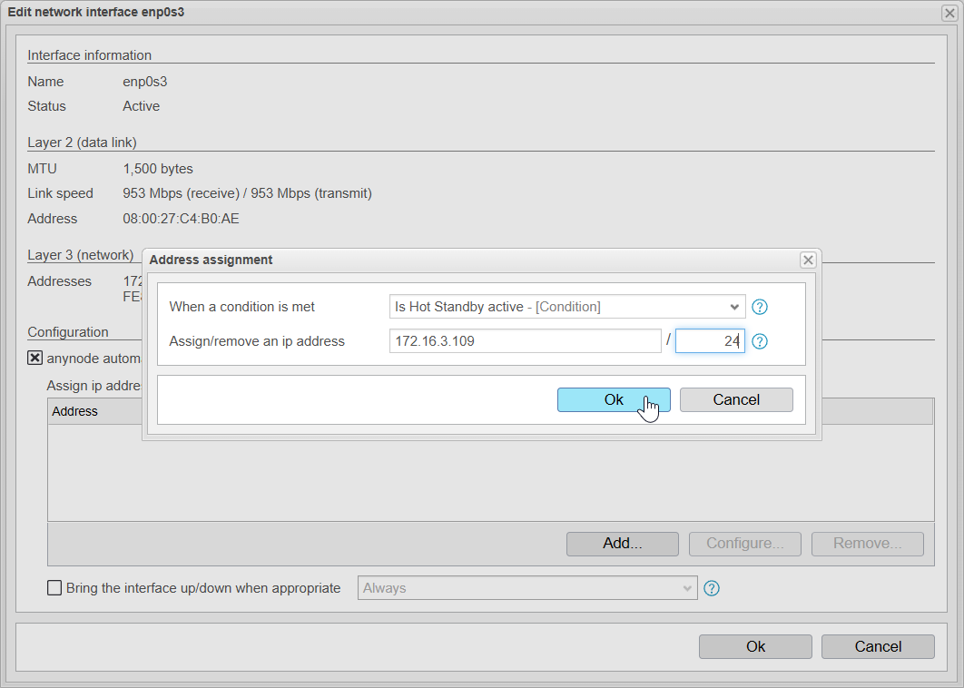 Screenshot: anynode – The Software SBC frontend with edit network interface menu and address assignment on the replica system.