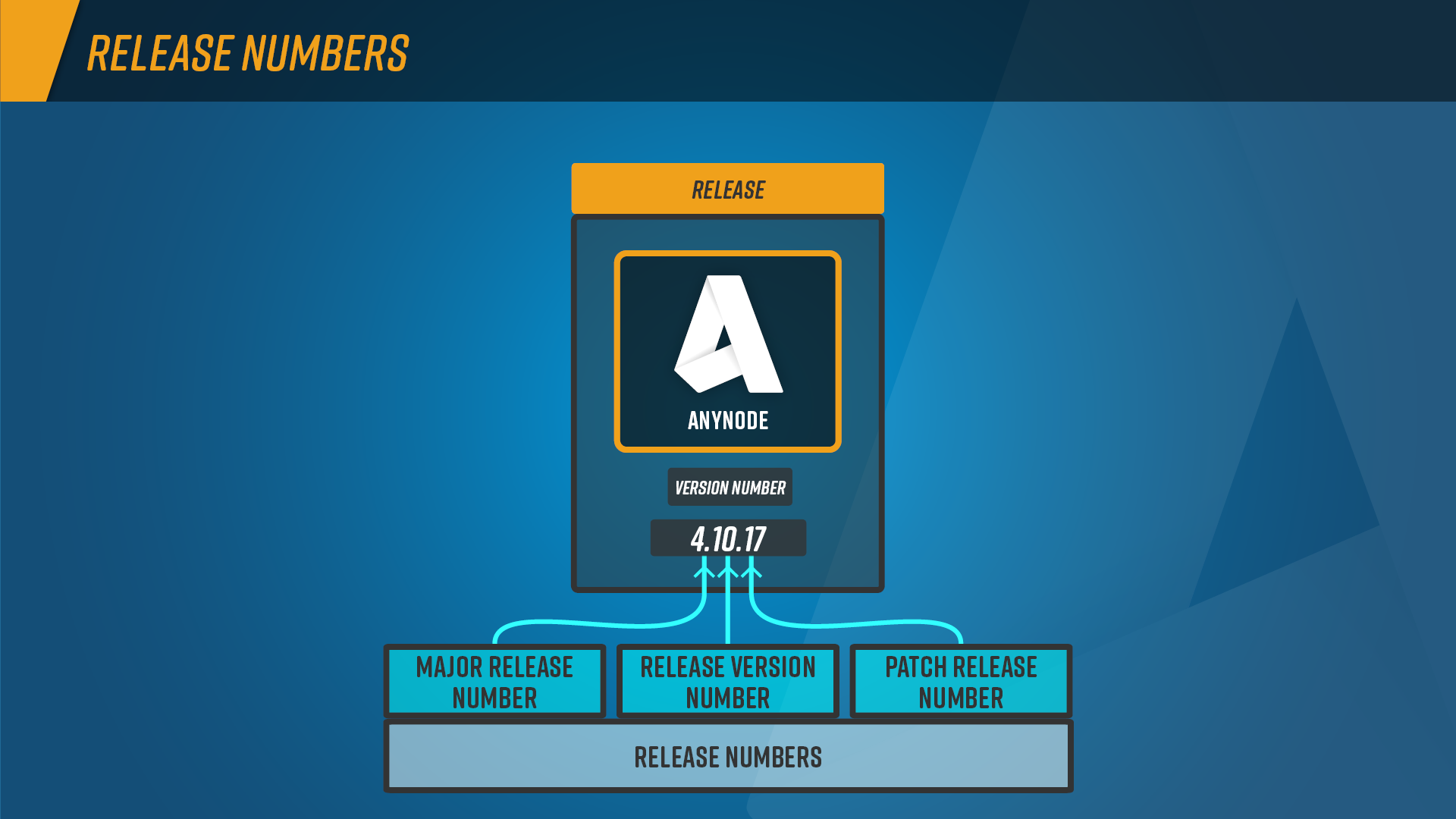 Infographic: Versioning scheme for anynode – The Software SBC