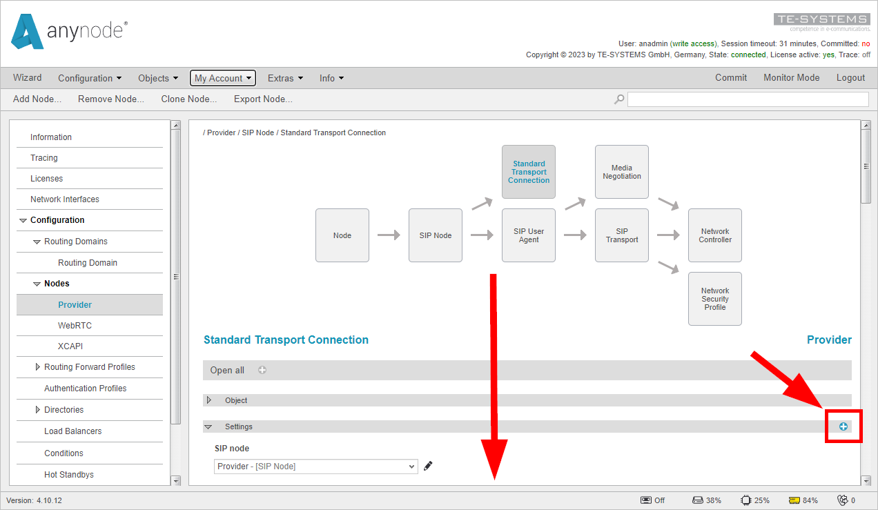 Screenshot: anynode configuration mode showing activation of higher detail level for standard transport connection settings