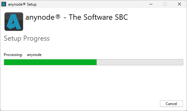 Screenshot: anynode setup is currently in progress.