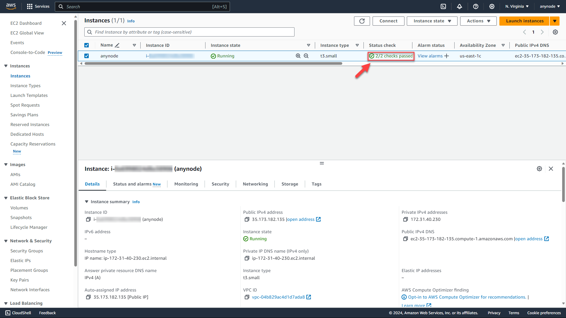 Screenshot: AWS EC 2 Console with passed instance check.