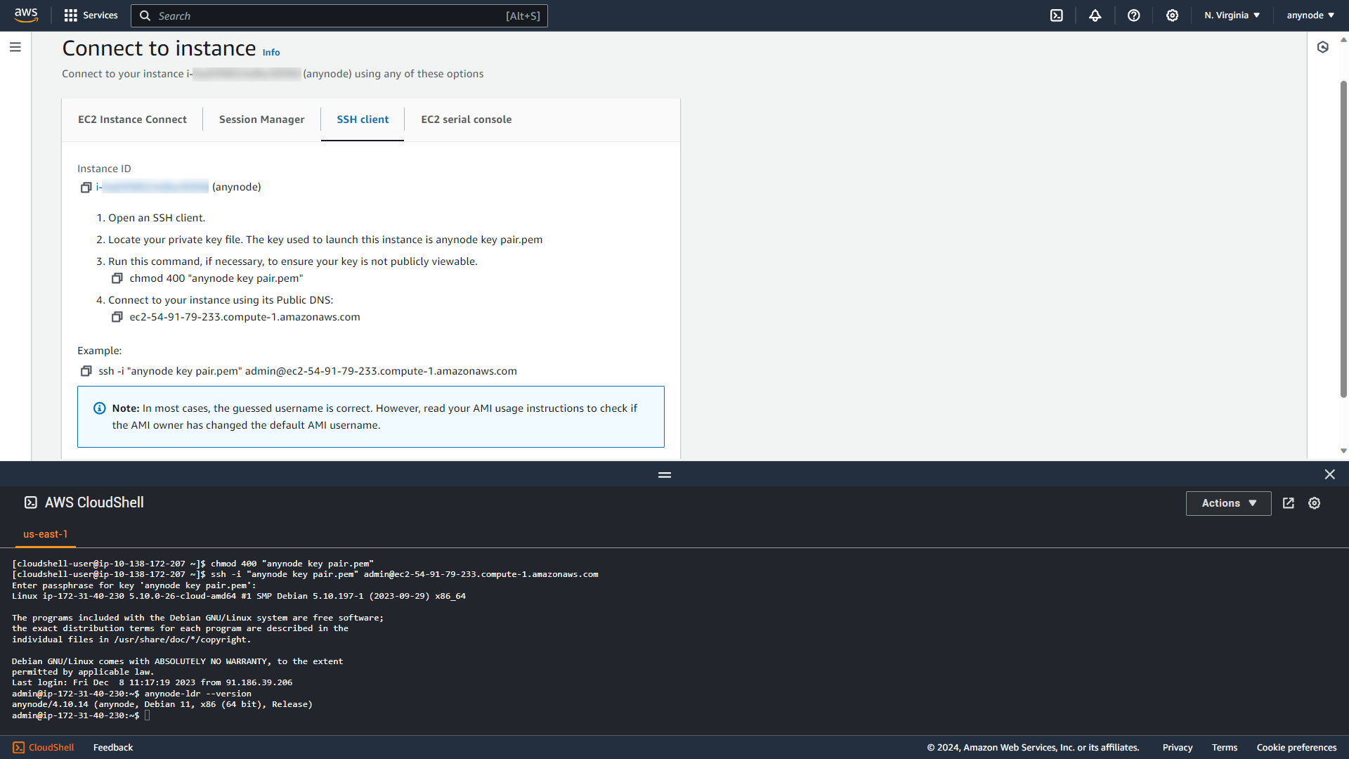 Screenshot: AWS EC2 Console and CloudShell with successful connection.