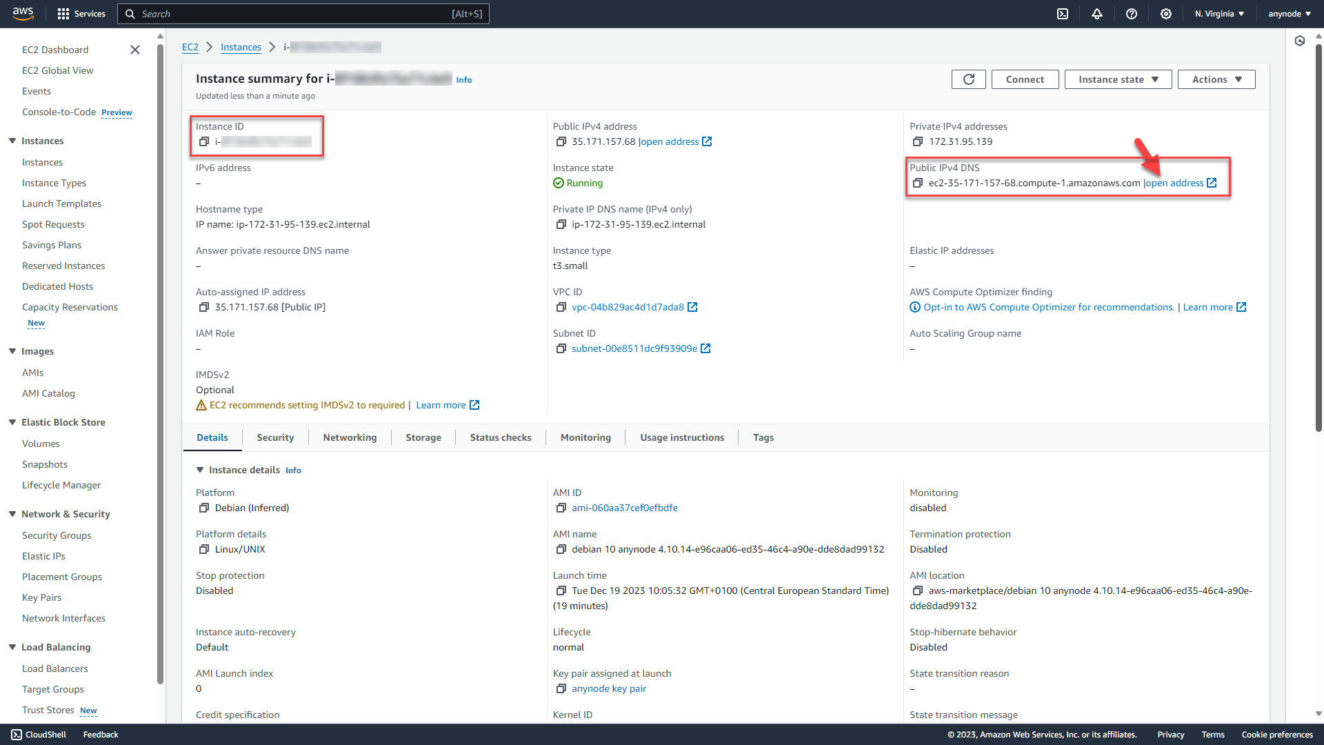 Screenshot: AWS EC2 Console with instance details for anynode – The Software SBC (VM). 