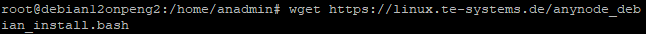 Screenshot: Download install shell script for installation of anynode on Debian / Ubuntu / Raspbian.  