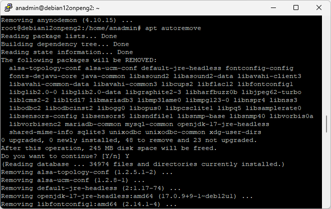 Screenshot: Executed command for anynode deinstallation on Debian.