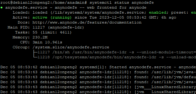 Screenshot: Executed shell script command for anynode system status on Debian.