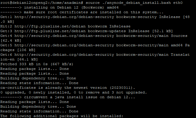 Screenshot: Executed shell script command for installation of anynode on Debian.