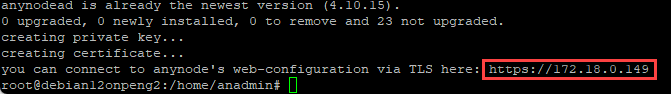 Screenshot: Executed shell script command for installation of anynode on Debian with IP for connection to the web frontend.