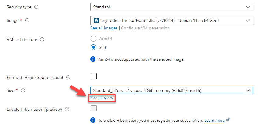 Screenshot: Microsoft Azure with anynode – The Software SBC VM Edition and project and instance details with choice of machine size.