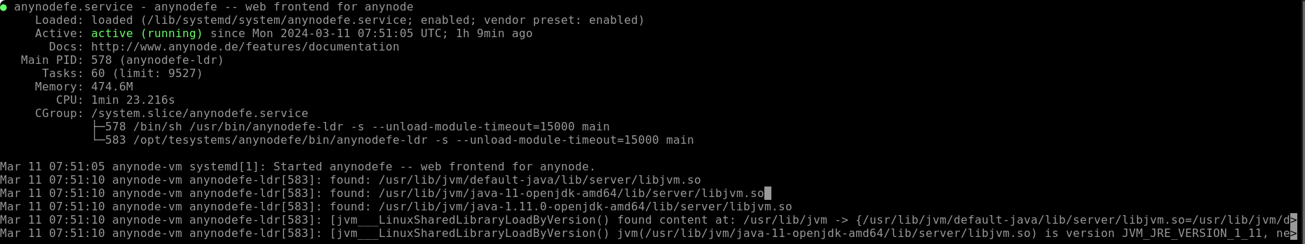 Screenshot: Microsoft Azure with anynode – The Software SBC VM Edition and connection via Azure Bastion with status check.