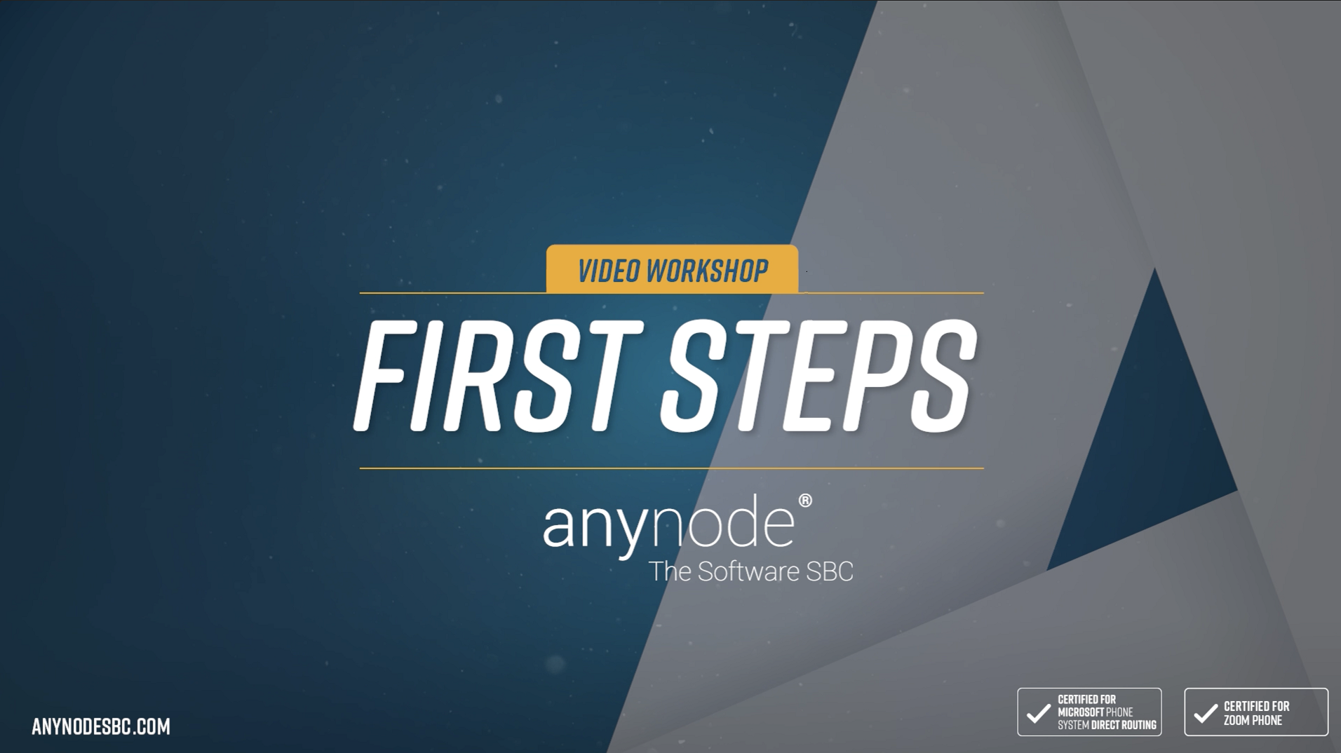 Video: Instructions for the initial installation and configuration of anynode – The Software SBC.