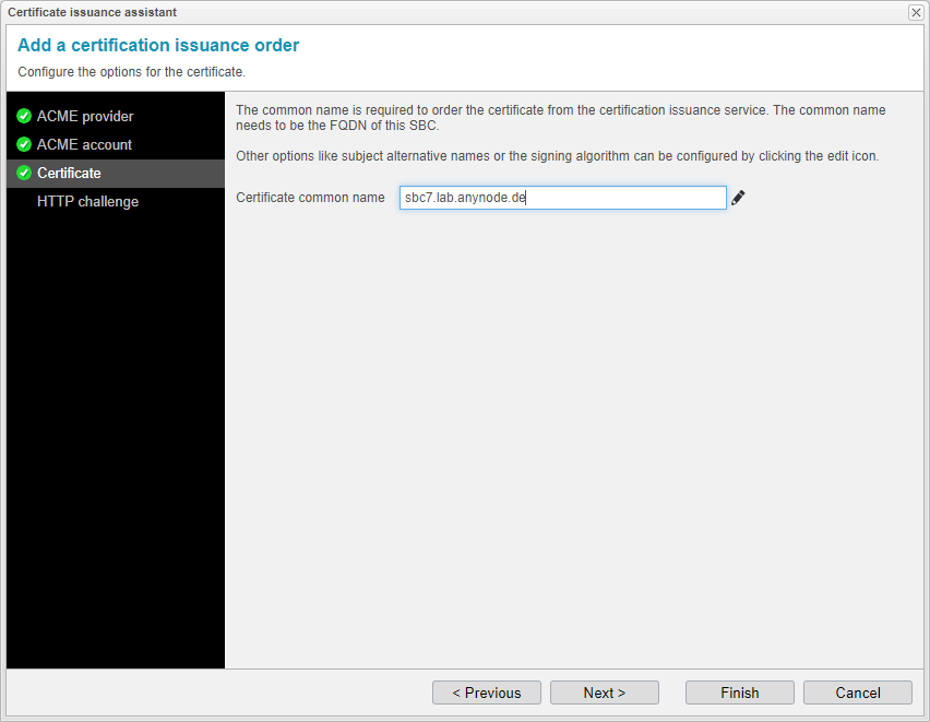 Screenshot: anynode certification issuance assistant with configuration of the options for the certificate.