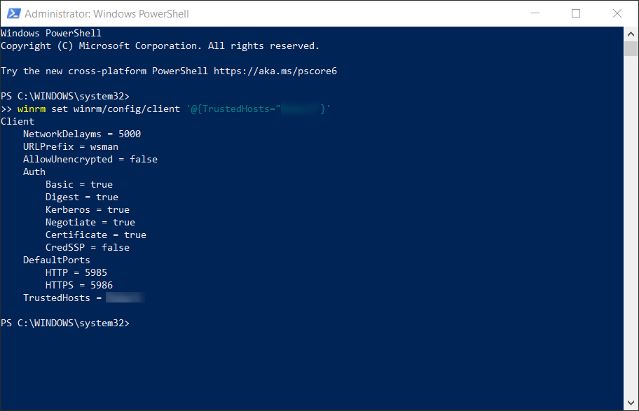 Screenshot: Windows PowerShell with allow trusted hosts command.